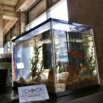 Fishtank